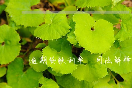 逾期贷款利率 司法解释 逾期贷款利率 司法解释